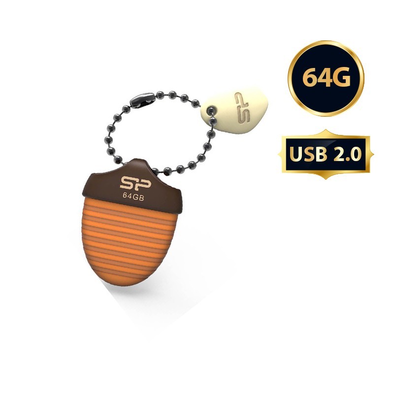 فلش مموری 64 گیگ سیلیکون پاور T30 USB 2.0