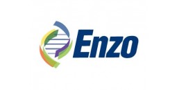 ENZO